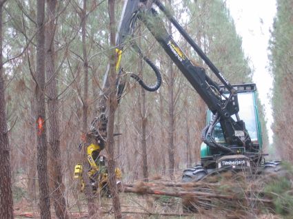 Evaluation & improvement of the productivity of your forestry operations