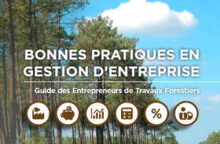 Guide for good practice in forestry work business management 