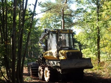 Améliorez votre gestion forestière avec Forêt Logistique Conseil