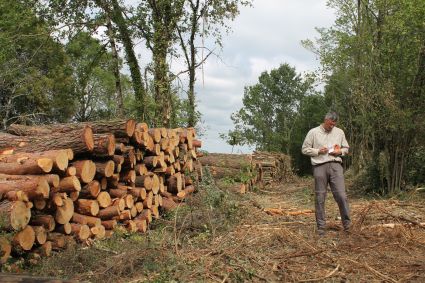 Formation préalable à la création d'une activité d'exploitation forestière