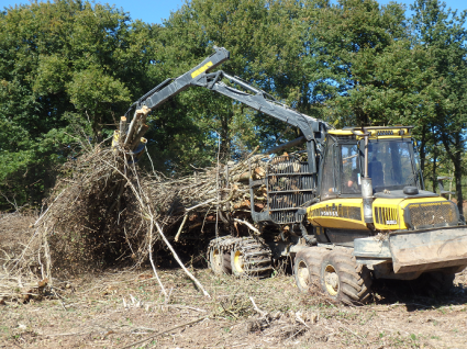 Sélection du projet FORETDAVENIR parmi les 24 projets retenus de l'AMI DYNAMIC BOIS 2015