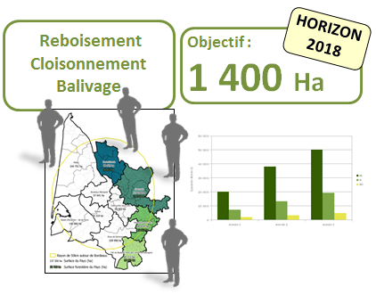 Foredavenir, améliorer 1 400 ha de forêt