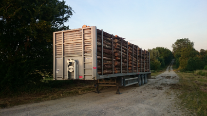 Semi-remorque sans grue chargée de bois stationnée bord de route