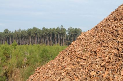 Sur demande du CRPF Aquitaine, FLC a rédigé un mémento sur le Bois Énergie