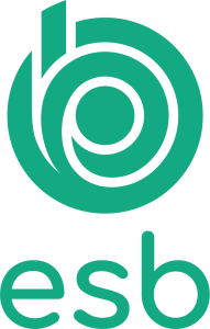 Logo de l'esb