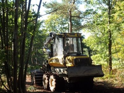 Optimiser la gestion de votre exploitation forestière